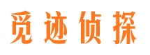 景宁市私家侦探